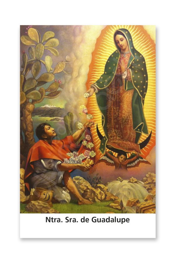 100 Estampas - Ntra. Sra. de Guadalupe
