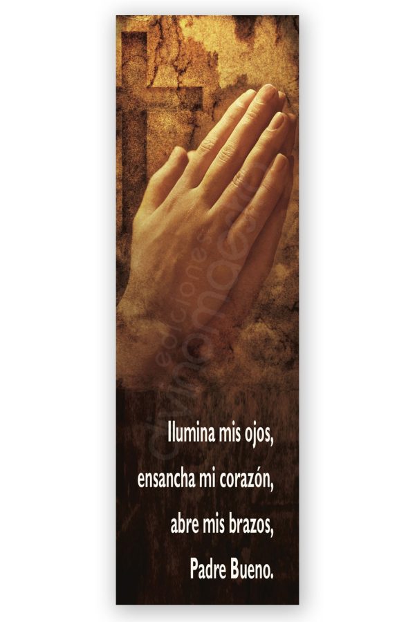 100 Puntos de Lectura Ilumina Mis Ojos