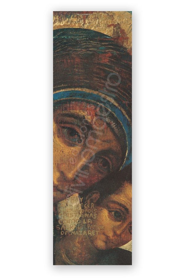 100 Puntos de Lectura Virgen del Camino