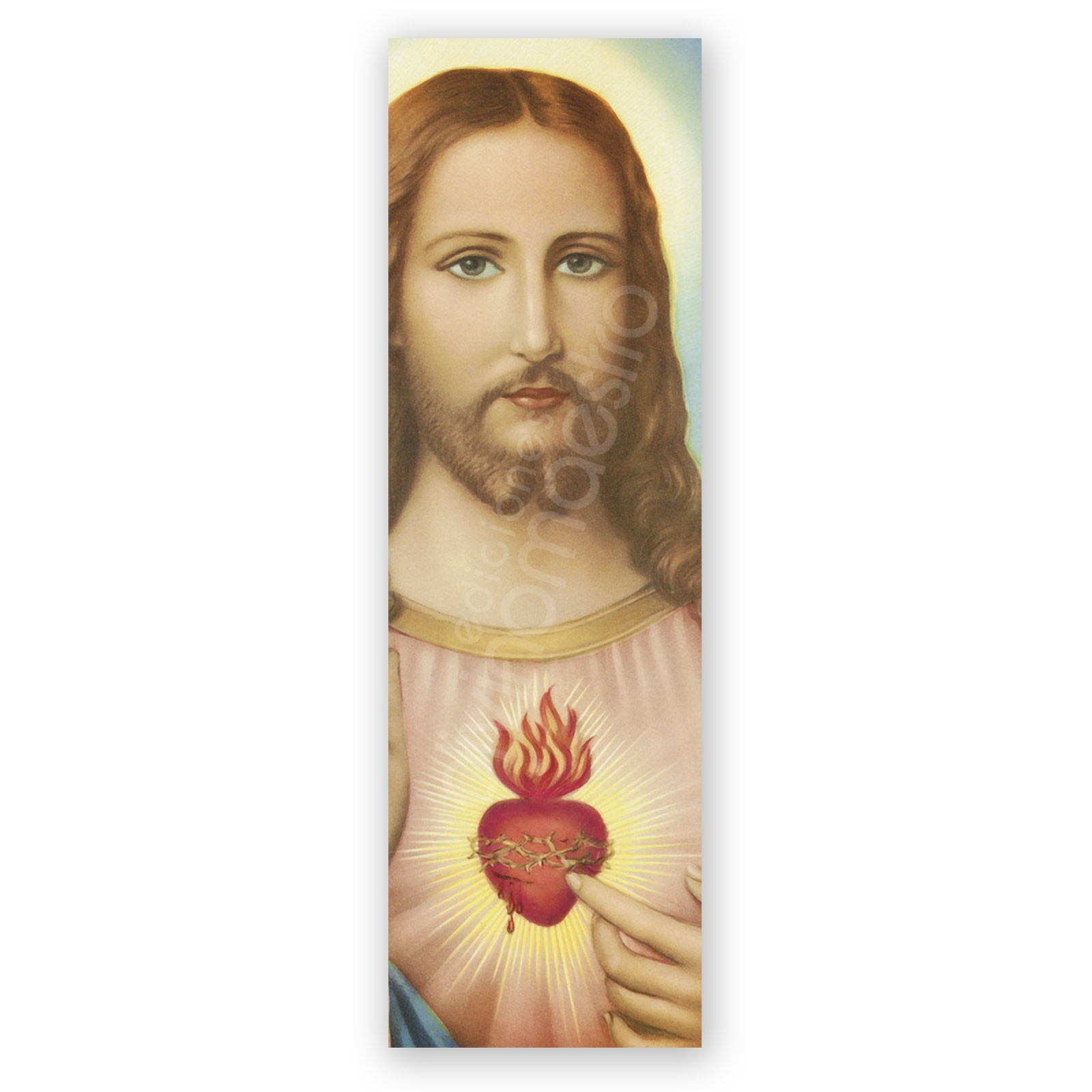 100 Puntos de Lectura Sagrado Corazón