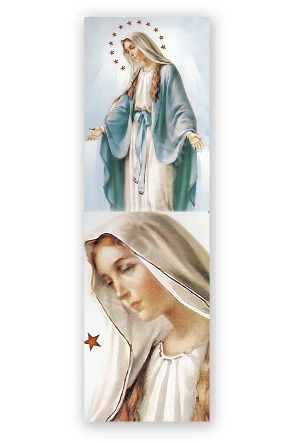 100 Puntos de Lectura Ntra. Sra. de la Medalla Milagrosa