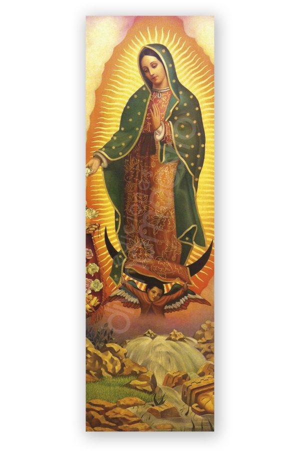 100 Puntos de Lectura Ntra. Sra. de Guadalupe