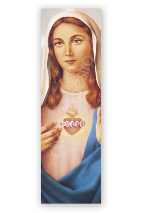 100 Puntos de Lectura Inmaculado Corazón de María