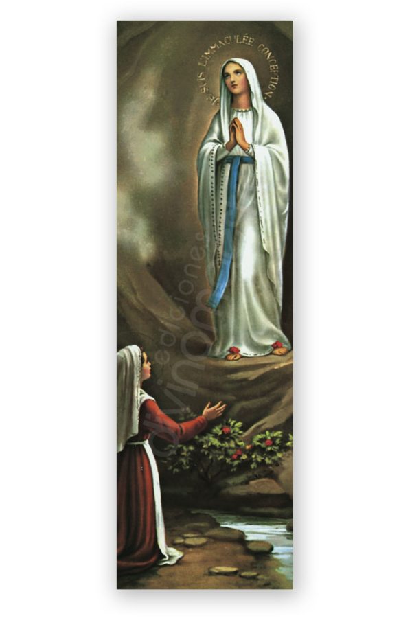 100 Puntos de Lectura Ntra. Sra. de Lourdes