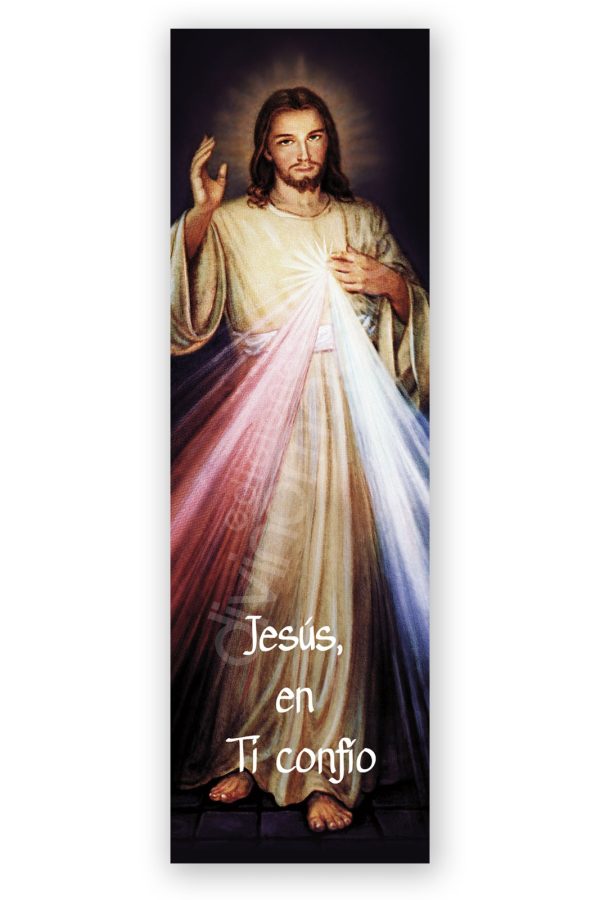 100 Puntos de Lectura Cristo de La Divina Misericordia