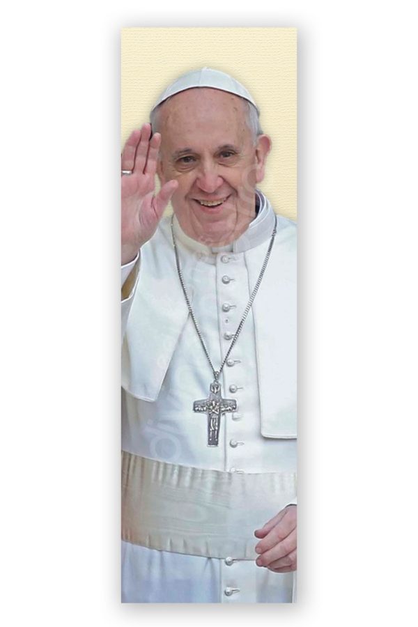 100 Puntos de Lectura Papa Francisco