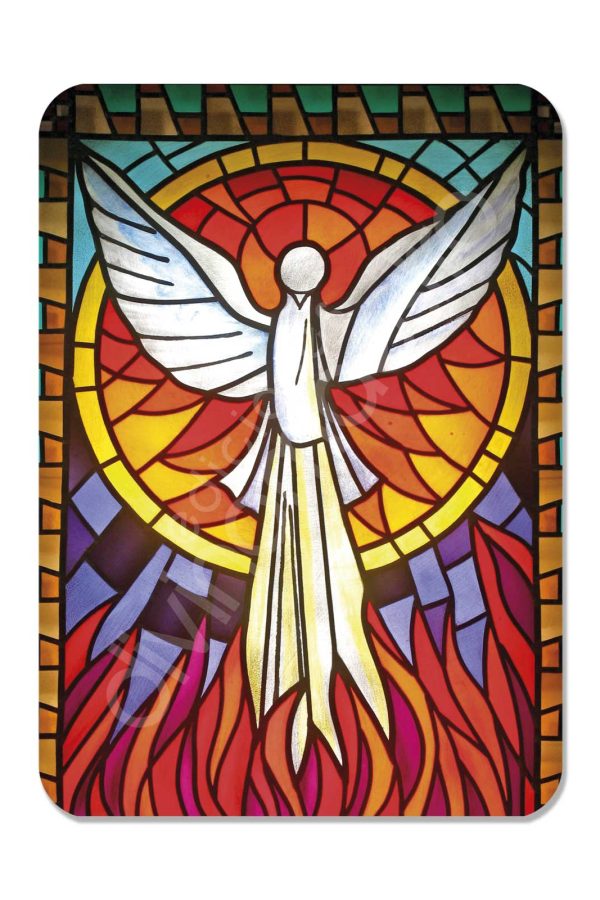 100 Calendarios de bolsillo - Espíritu Santo