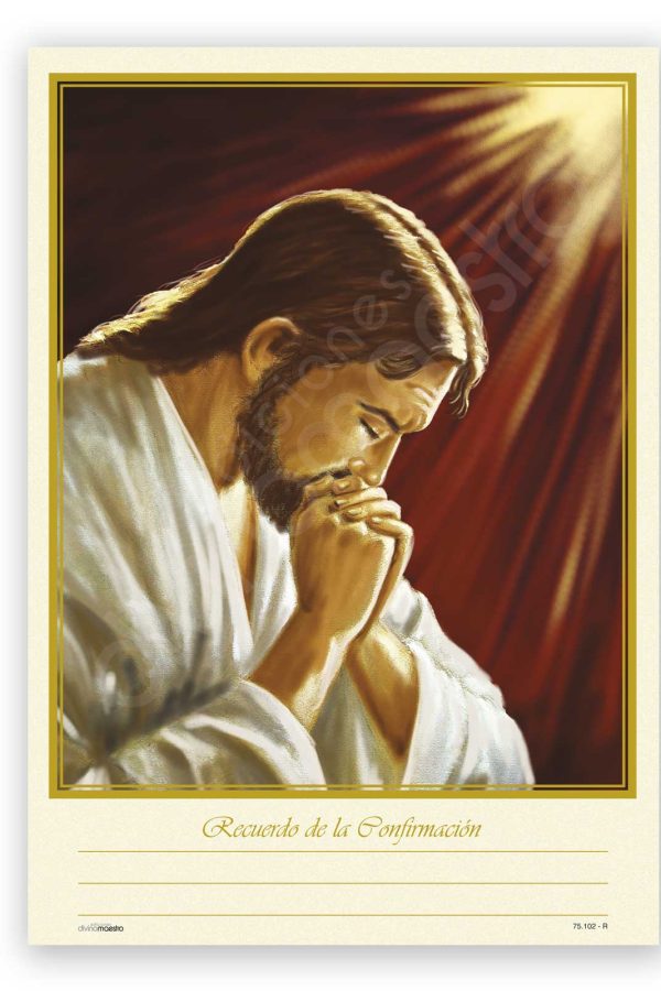 Record. Confirmación Bolsa 25 Unid.